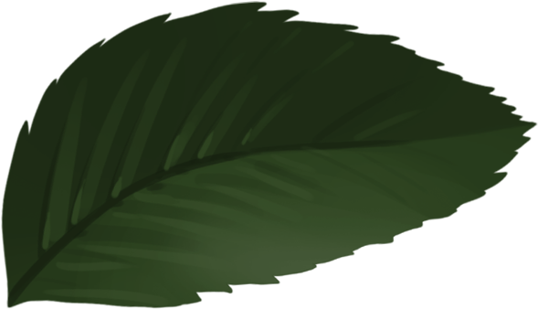 leaf